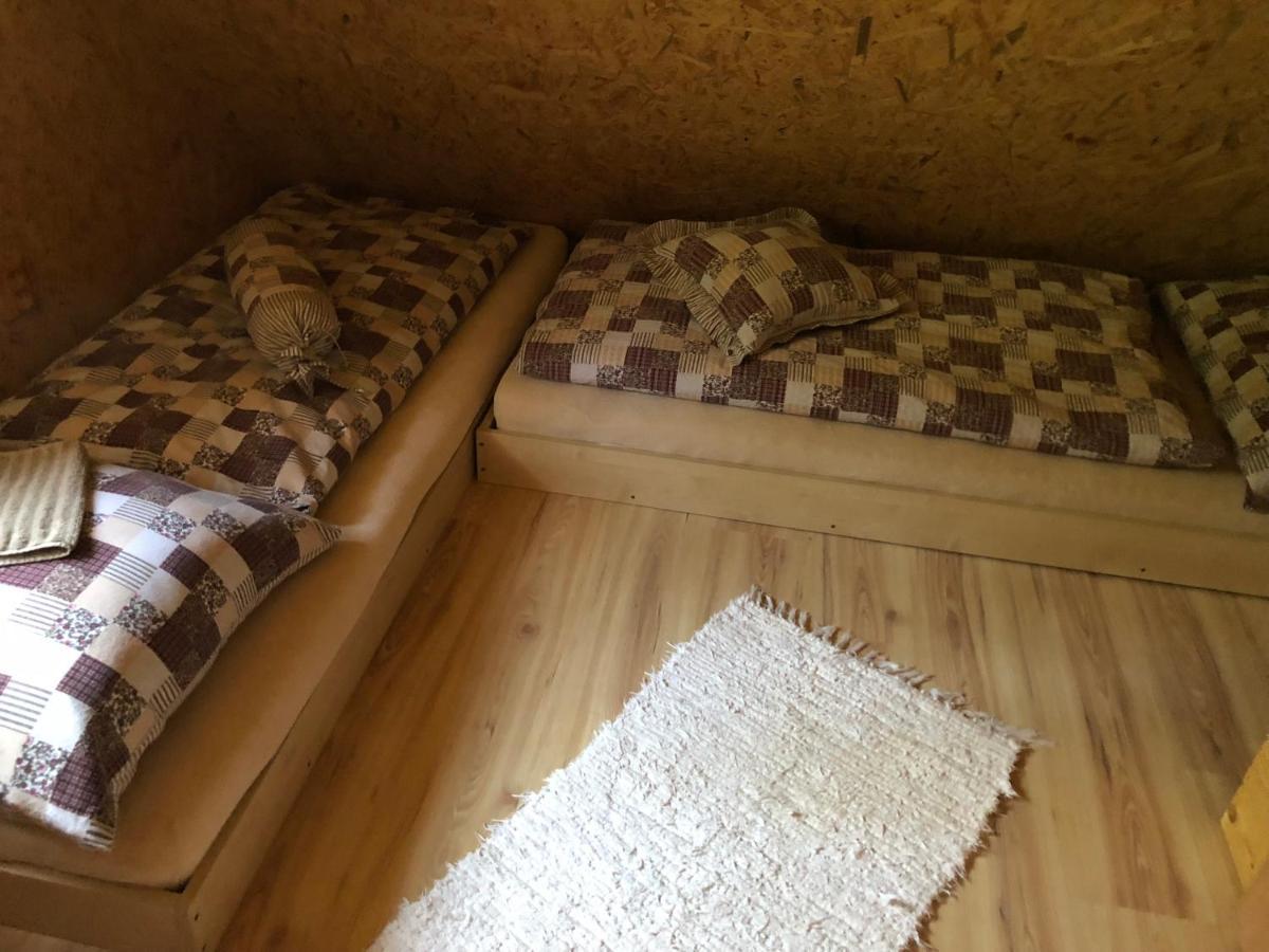 Chatabela المظهر الخارجي الصورة